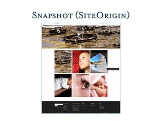 Snapshot (SiteOrigin)
 
