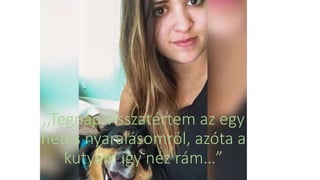 ,,Tegnap visszatértem az egy
hetes nyaralásomról, azóta a
kutyám így néz rám…”
 