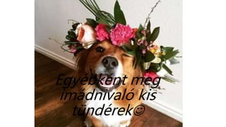 Egyébként meg
imádnivaló kis
tündérek
 