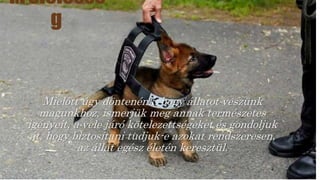 1.Felelőssé
g
Mielőtt úgy döntenénk, hogy állatot veszünk
magunkhoz, ismerjük meg annak természetes
igényeit, a vele járó kötelezettségeket és gondoljuk
át, hogy biztosítani tudjuk-e azokat rendszeresen,
az állat egész életén keresztül.
 