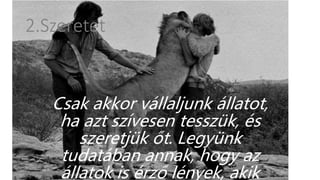 2.Szeretet
Csak akkor vállaljunk állatot,
ha azt szívesen tesszük, és
szeretjük őt. Legyünk
tudatában annak, hogy az
állatok is érző lények, akik
 