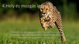 4.Hely és mozgás igény
Minden faj hely- és mozgásigénye eltérő. Ez méretétől és természetes
életmódjától is függ. Tájékozódjunk előre és mérjük fel, hogy életterünk,
életmódunk összeegyeztethető az állat igényeivel.
 