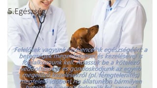 5.Egészség
Felelősek vagyunk kedvenceink egészségéért: a
betegségek megelőzésével és kezelésével is
foglalkoznunk kell. Adassuk be a kötelező
védőoltásokat és gondoskodjunk az egyéb
megelőző kezelésekről (pl. féregtelenítés)
megfelelő időben! Ha állatunkon bármilyen
 