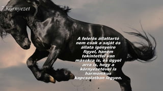 7.Környezet
A felelős állattartó
nem csak a saját és
állata igényeire
figyel, hanem
tekintettel van
másokra is, és ügyel
arra is, hogy a
környezetével is
harmonikus
kapcsolatban legyen.
 