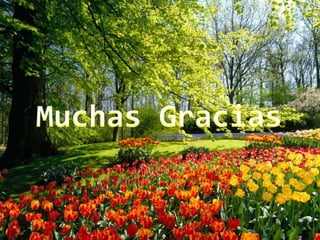 NARIZ - Anatomia y Funciones