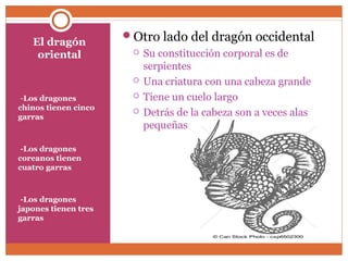 El dragón 
oriental 
--Los dragones 
chinos tienen cinco 
garras 
--Los dragones 
coreanos tienen 
cuatro garras 
--Los dragones 
japones tienen tres 
garras 
Otro lado del dragón occidental 
 Su constitucción corporal es de 
serpientes 
 Una criatura con una cabeza grande 
 Tiene un cuelo largo 
 Detrás de la cabeza son a veces alas 
pequeñas 
 