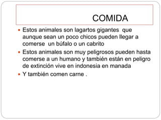 COMIDA
 Estos animales son lagartos gigantes que
aunque sean un poco chicos pueden llegar a
comerse un búfalo o un cabrito
 Estos animales son muy peligrosos pueden hasta
comerse a un humano y también están en peligro
de extinción vive en indonesia en manada
 Y también comen carne .
 
