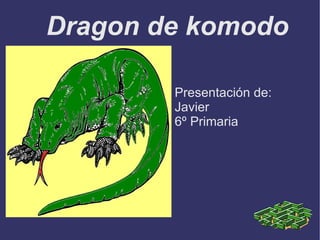 Dragon de komodo ,[object Object]