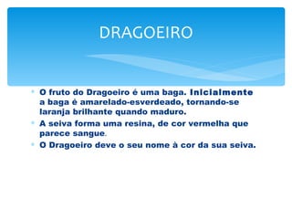 DRAGOEIRO


∗ O fruto do Dragoeiro é uma baga. Inicialmente
  a baga é amarelado-esverdeado, tornando-se
  laranja brilhante quando maduro.
∗ A seiva forma uma resina, de cor vermelha que
  parece sangue.
∗ O Dragoeiro deve o seu nome à cor da sua seiva.
 