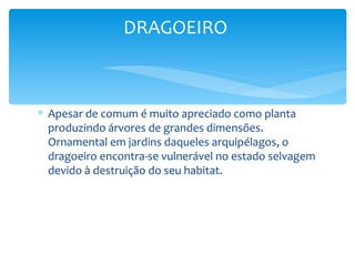 DRAGOEIRO



∗ Apesar de comum é muito apreciado como planta
  produzindo árvores de grandes dimensões.
  Ornamental em jardins daqueles arquipélagos, o
  dragoeiro encontra-se vulnerável no estado selvagem
  devido à destruição do seu habitat.
 