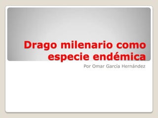 Drago milenario como especie endémica Por Omar García Hernández  