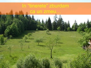 In “tinerete” zburdam ca un zmeu… 