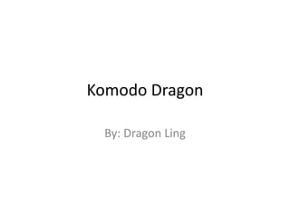 Komodo Dragon

 By: Dragon Ling
 
