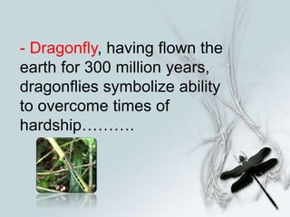 - Dragonfly, having flown the
earth for 300 million years,
dragonflies symbolize ability
to overcome times of
hardship……….
 