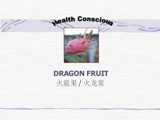 DRAGON FRUIT   火龍果 / 火龙果  Health Conscious 