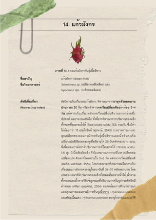 14. แก้วมังกร
ภาพที่ 14.1 ผลแก้วมังกรพันธุ์เนื้อสีขาว
ชื่อสามัญ แก้วมังกร (dragon fruit)
ชื่อวิทยาศาสตร์ Selenicereus sp. ...