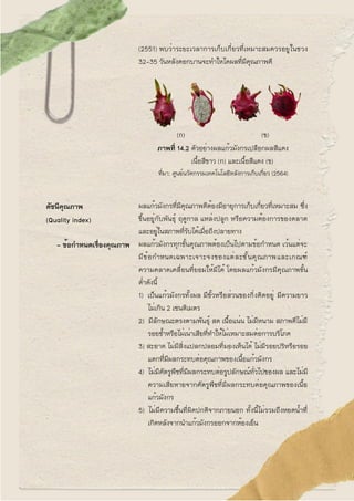 (2551) พบว่าระยะเวลาการเก็บเกี่ยวที่เหมาะสมควรอยูในชวง
32-35 วันหลังดอกบานจะทําใหไดผลที่มีคุณภาพดี
(ก) (ข)
ภาพที่ 14.2 ตัว...