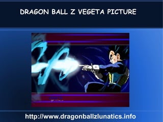 DRAGON BALL Z VEGETA PICTURE http://www.dragonballzlunatics.info 