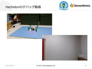 Hachidoriのデバッグ動画
2017/06/12 © 2017 DroneWorks Inc. 44
 
