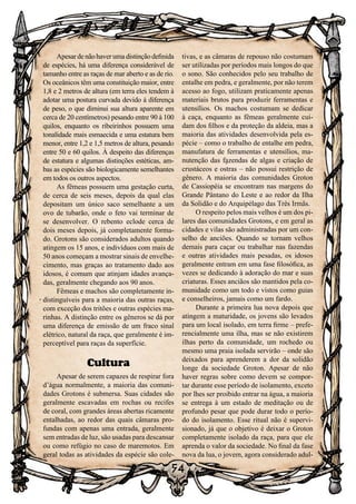 54
54
Apesar de não haver uma distinção definida
de espécies, há uma diferença considerável de
tamanho entre as raças de mar aberto e as de rio.
Os oceânicos têm uma constituição maior, entre
1,8 e 2 metros de altura (em terra eles tendem à
adotar uma postura curvada devido à diferença
de peso, o que diminui sua altura aparente em
cerca de 20 centímetros) pesando entre 90 à 100
quilos, enquanto os ribeirinhos possuem uma
tonalidade mais esmaecida e uma estatura bem
menor, entre 1,2 e 1,5 metros de altura, pesando
entre 50 e 60 quilos. À despeito das diferenças
de estatura e algumas distinções estéticas, am-
bas as espécies são biologicamente semelhantes
em todos os outros aspectos.
As fêmeas possuem uma gestação curta,
de cerca de seis meses, depois da qual elas
depositam um único saco semelhante a um
ovo de tubarão, onde o feto vai terminar de
se desenvolver. O rebento eclode cerca de
dois meses depois, já completamente forma-
do. Grotons são considerados adultos quando
atingem os 15 anos, e indivíduos com mais de
50 anos começam a mostrar sinais de envelhe-
cimento, mas graças ao tratamento dado aos
idosos, é comum que atinjam idades avança-
das, geralmente chegando aos 90 anos.
Fêmeas e machos são completamente in-
distinguíveis para a maioria das outras raças,
com exceção dos tritões e outras espécies ma-
rinhas. A distinção entre os gêneros se dá por
uma diferença de emissão de um fraco sinal
elétrico, natural da raça, que geralmente é im-
perceptível para raças da superfície.
Cultura
Apesar de serem capazes de respirar fora
d’água normalmente, a maioria das comuni-
dades Grotons é submersa. Suas cidades são
geralmente escavadas em rochas ou recifes
de coral, com grandes áreas abertas ricamente
entalhadas, ao redor das quais câmaras pro-
fundas com apenas uma entrada, geralmente
sem entradas de luz, são usadas para descansar
ou como refúgio no caso de maremotos. Em
geral todas as atividades da espécie são cole-
tivas, e as câmaras de repouso não costumam
ser utilizadas por períodos mais longos do que
o sono. São conhecidos pelo seu trabalho de
entalhe em pedra, e geralmente, por não terem
acesso ao fogo, utilizam praticamente apenas
materiais brutos para produzir ferramentas e
utensílios. Os machos costumam se dedicar
à caça, enquanto as fêmeas geralmente cui-
dam dos filhos e da proteção da aldeia, mas a
maioria das atividades desenvolvida pela es-
pécie – como o trabalho de entalhe em pedra,
manufatura de ferramentas e utensílios, ma-
nutenção das fazendas de algas e criação de
crustáceos e ostras – não possui restrição de
gênero. A maioria das comunidades Groton
de Cassiopéia se encontram nas margens do
Grande Pântano do Leste e ao redor da Ilha
da Solidão e do Arquipélago das Três Irmãs.
O respeito pelos mais velhos é um dos pi-
lares das comunidades Grotons, e em geral as
cidades e vilas são administradas por um con-
selho de anciões. Quando se tornam velhos
demais para caçar ou trabalhar nas fazendas
e outras atividades mais pesadas, os idosos
geralmente entram em uma fase filosófica, as
vezes se dedicando à adoração do mar e suas
criaturas. Esses anciãos são mantidos pela co-
munidade como um todo e vistos como guias
e conselheiros, jamais como um fardo.
Durante a primeira lua nova depois que
atingem a maturidade, os jovens são levados
para um local isolado, em terra firme – prefe-
rencialmente uma ilha, mas se não existirem
ilhas perto da comunidade, um rochedo ou
mesmo uma praia isolada servirão – onde são
deixados para aprenderem a dor da solidão
longe da sociedade Groton. Apesar de não
haver regras sobre como devem se compor-
tar durante esse período de isolamento, exceto
por lhes ser proibido entrar na água, a maioria
se entrega à um estado de meditação ou de
profundo pesar que pode durar todo o perío-
do do isolamento. Esse ritual não é supervi-
sionado, já que o objetivo é deixar o Groton
completamente isolado da raça, para que ele
aprenda o valor da sociedade. No final da fase
nova da lua, o jovem, agora considerado adul-
 