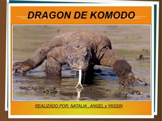 DRAGON DE KOMODO
REALIZADO POR: NATALIA , ANGEL y YASSIN
 