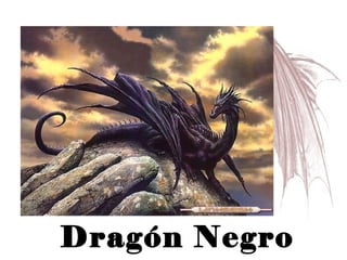 Dragón Negro  