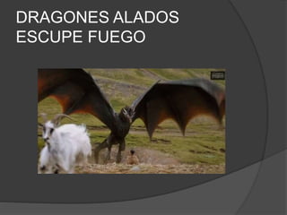 DRAGONES ALADOS
ESCUPE FUEGO