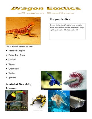 Dragon Exotics
                                     Dragon Exotics is professional hand breeding
                                     exotic pets. Includes toucans , Amhipains , frogs,
                                     reptiles, salt water fish, fresh water fish




This is a list of some of our pets

  Bearded Dragon
  Poison Dart frogs
  Geckos
  Tocuan
  Chamleions
  Turtles
  Igunains

Located at Pine bluff,
Arkansas
 