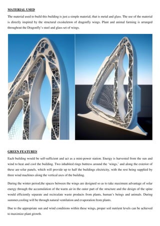 Dragonfly PDF