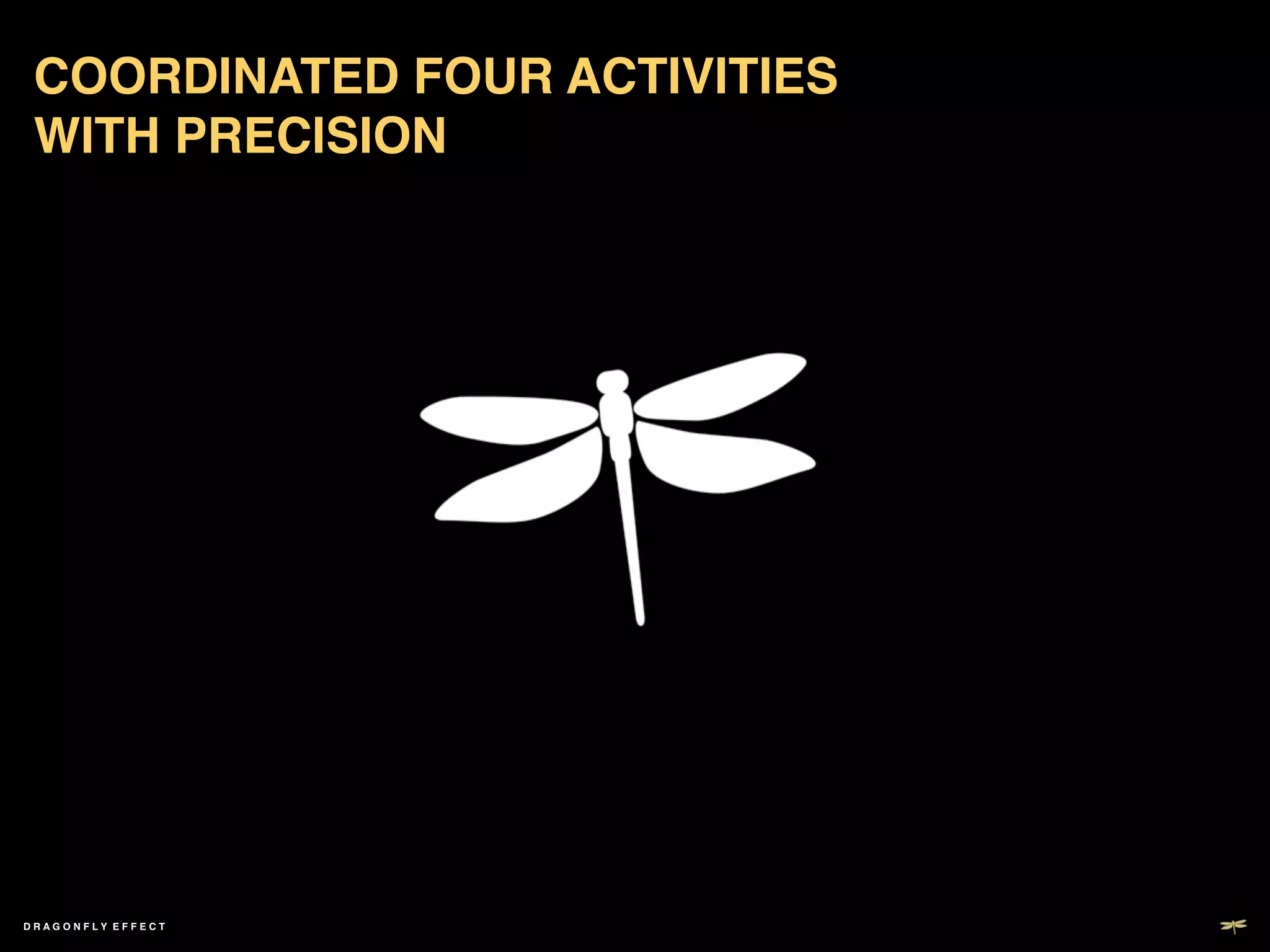 COORDINATED FOUR ACTIVITIES
 WITH PRECISION!    	

 !




                        DESPAIR.COM

                       DESPAIR.COM




DRAGONFLY EFFECT   !
 