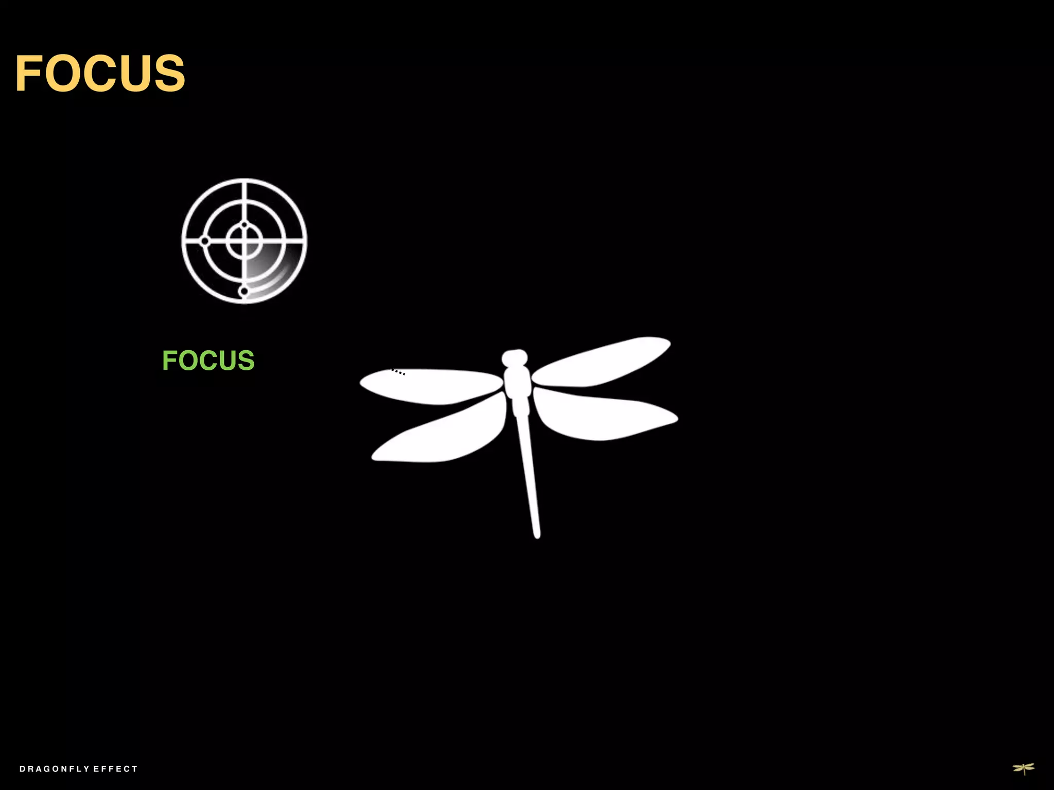 FOCUS!




                     FOCUS!




DRAGONFLY EFFECT !
 