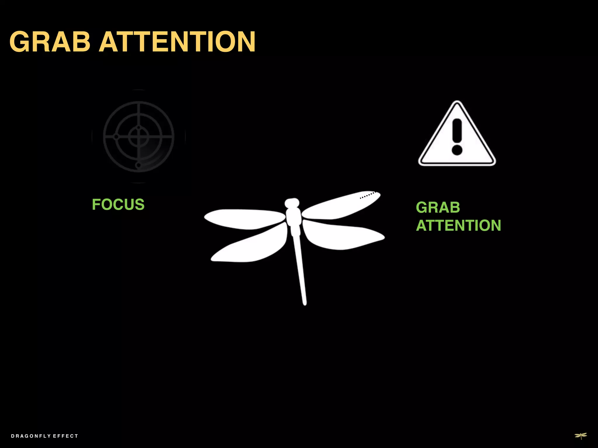 GRAB ATTENTION!




                     FOCUS!   GRAB
                              ATTENTION!




DRAGONFLY EFFECT !
 