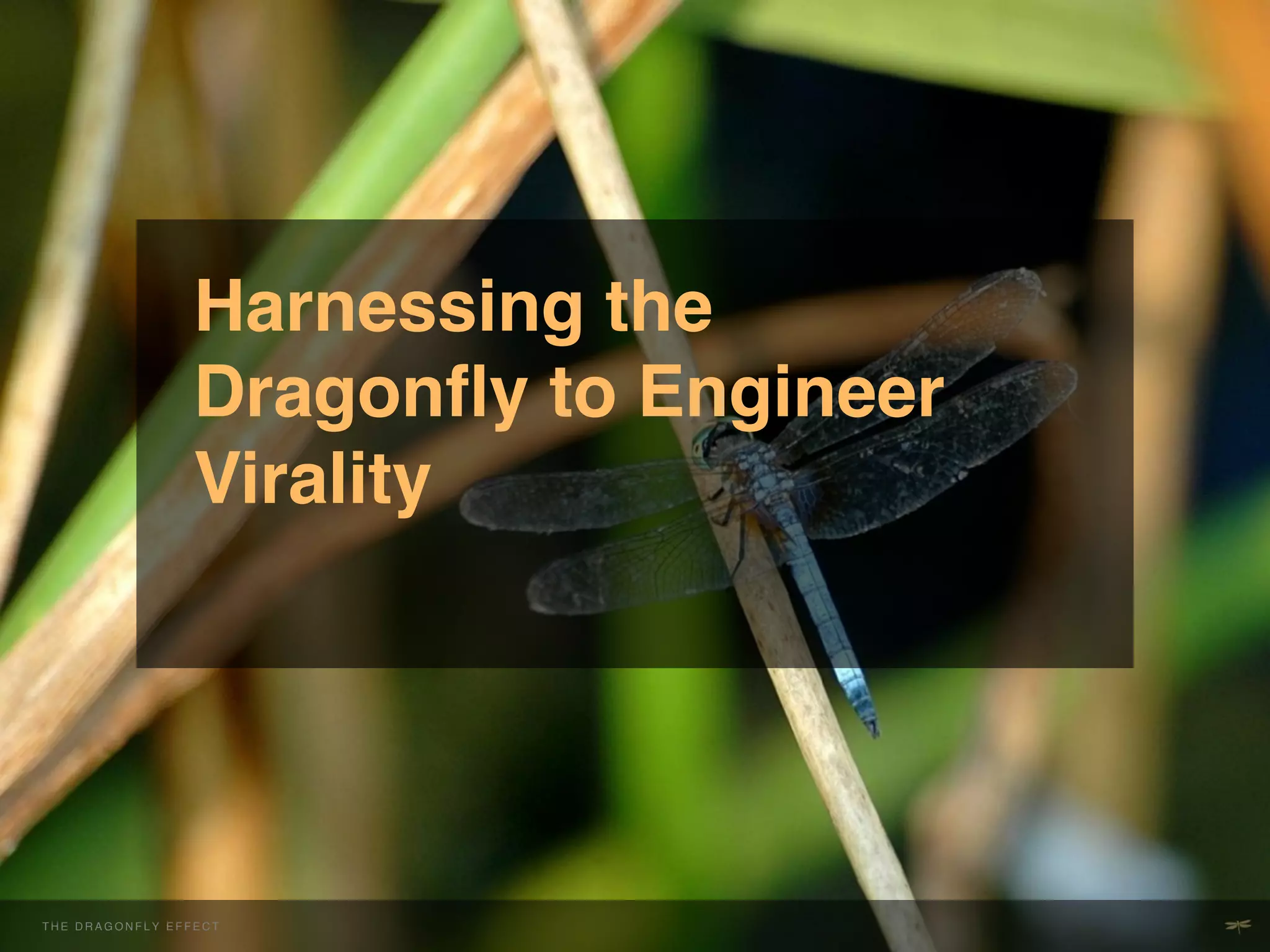 Harnessing the
                            Dragonﬂy to Engineer
                            Virality!




THEH E D R A G O N EFFECT F E!C T
  T DRAGONFLY F L Y E F             !
 