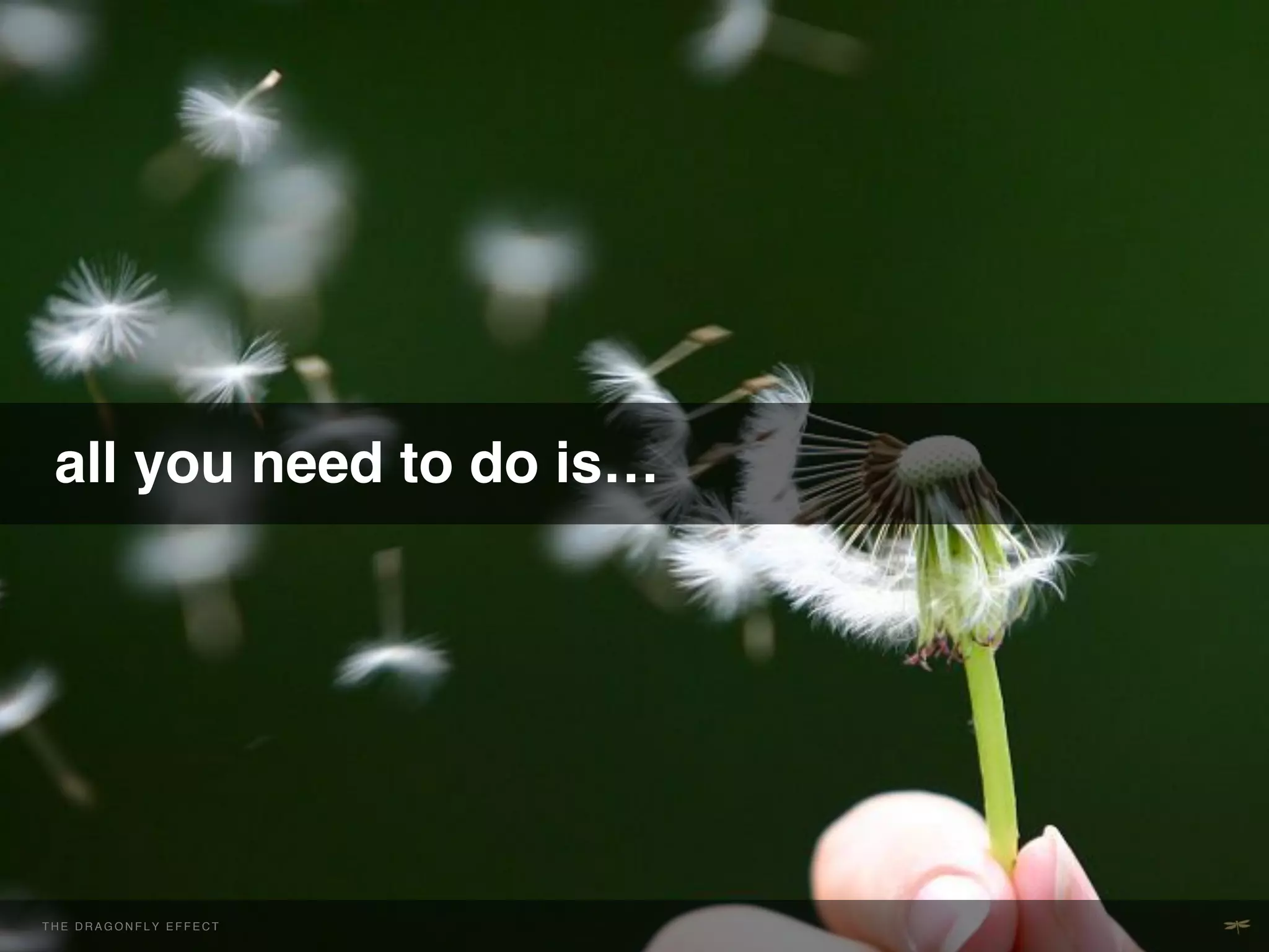  
     all you need to do is…!




THE H E D R A G O NEFFECT F E C T
  T DRAGONFLY F L Y E F !           !
 