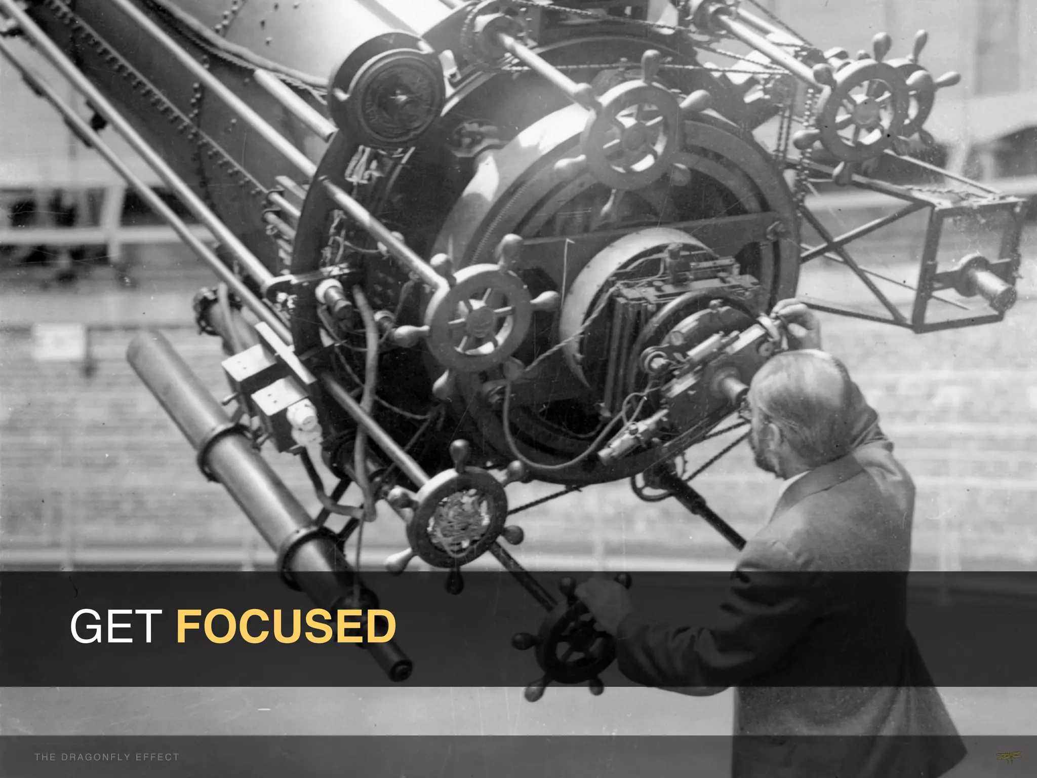 !GET FOCUSED!

THE H E D R A G O NEFFECT F E C T
  T DRAGONFLY F L Y E F !           !
 