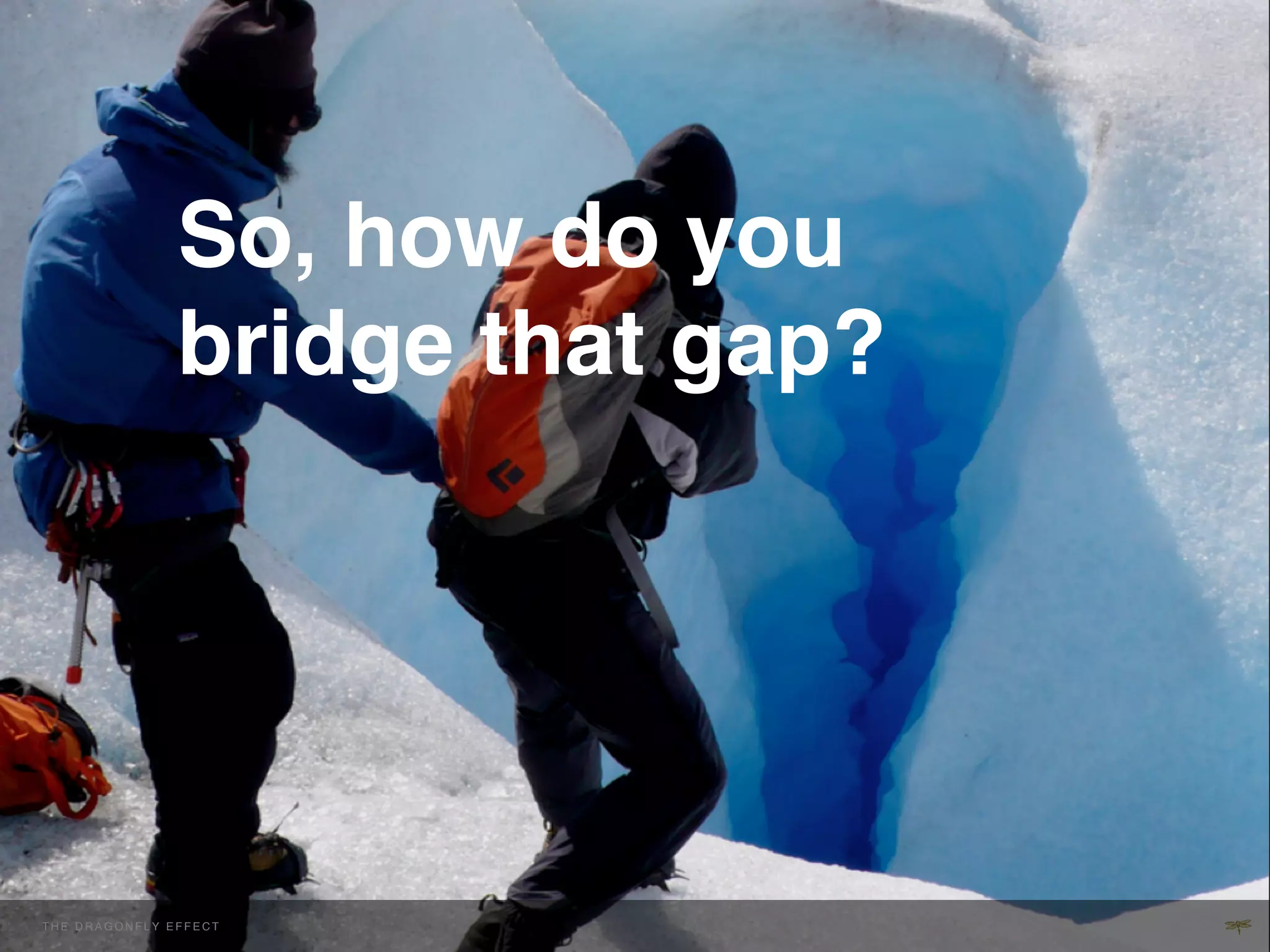 So, how do you
                         bridge that gap?!
                         !



THE H E D R A G O NEFFECT F E C T
  T DRAGONFLY F L Y E F !           !
 