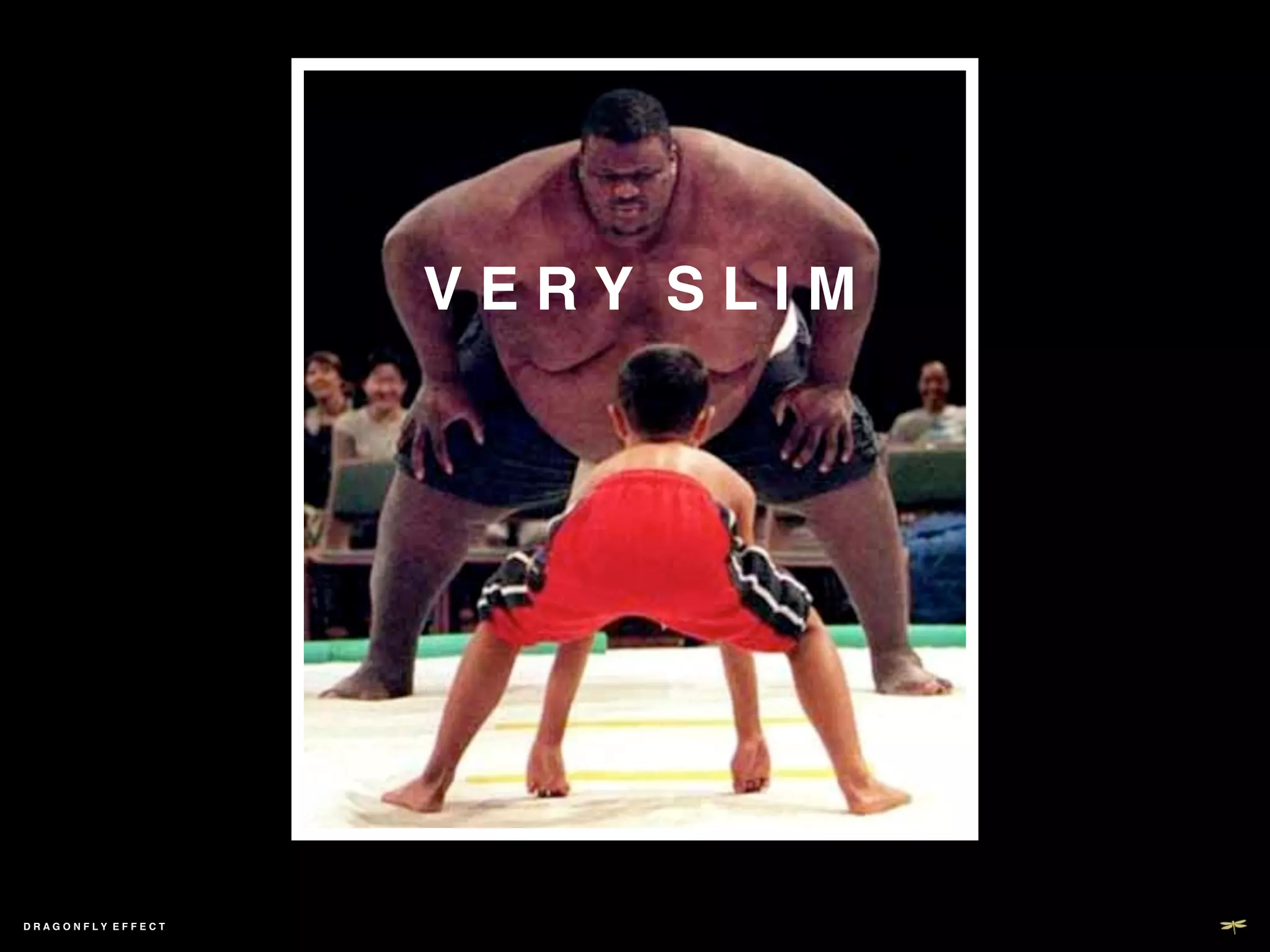 V E R Y S L I M!




DRAGONFLY EFFECT   !
 