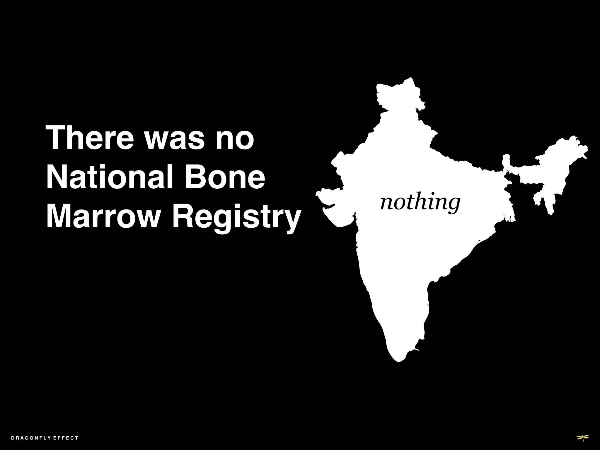 There was no	

        National Bone
                           nothing
        Marrow Registry!




DRAGONFLY EFFECT   !
 