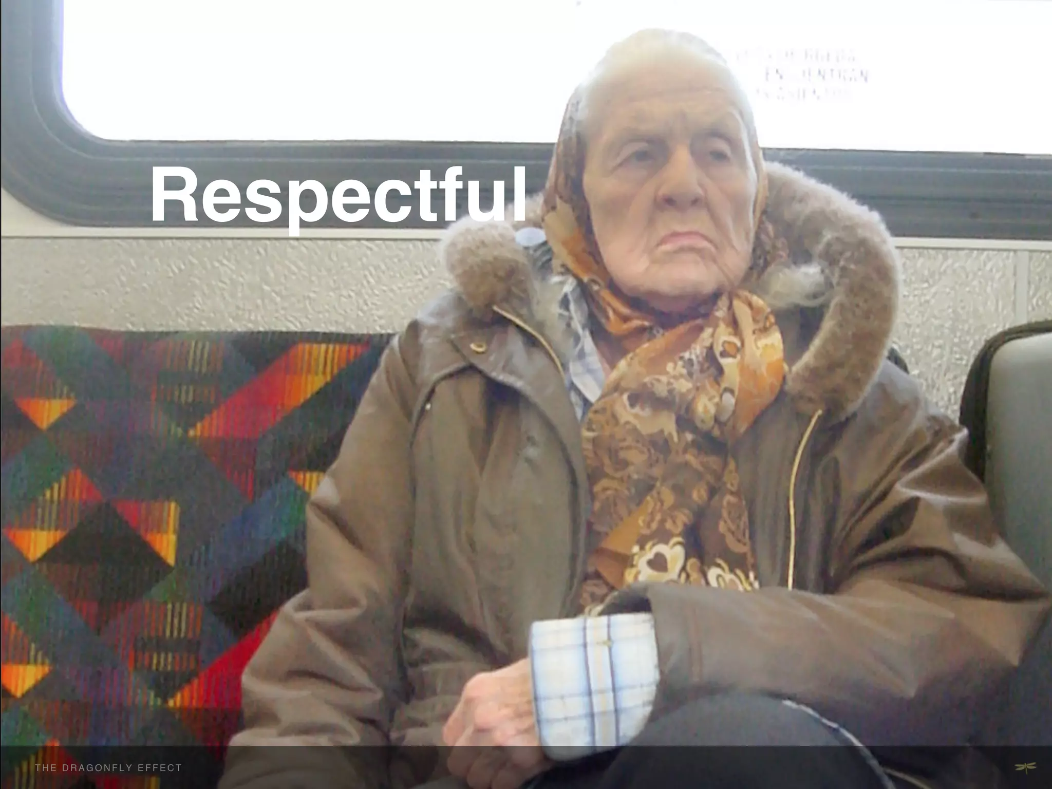 Respectful!
                         !




THE H E D R A G O NEFFECT F E C T
  T DRAGONFLY F L Y E F !           !
 