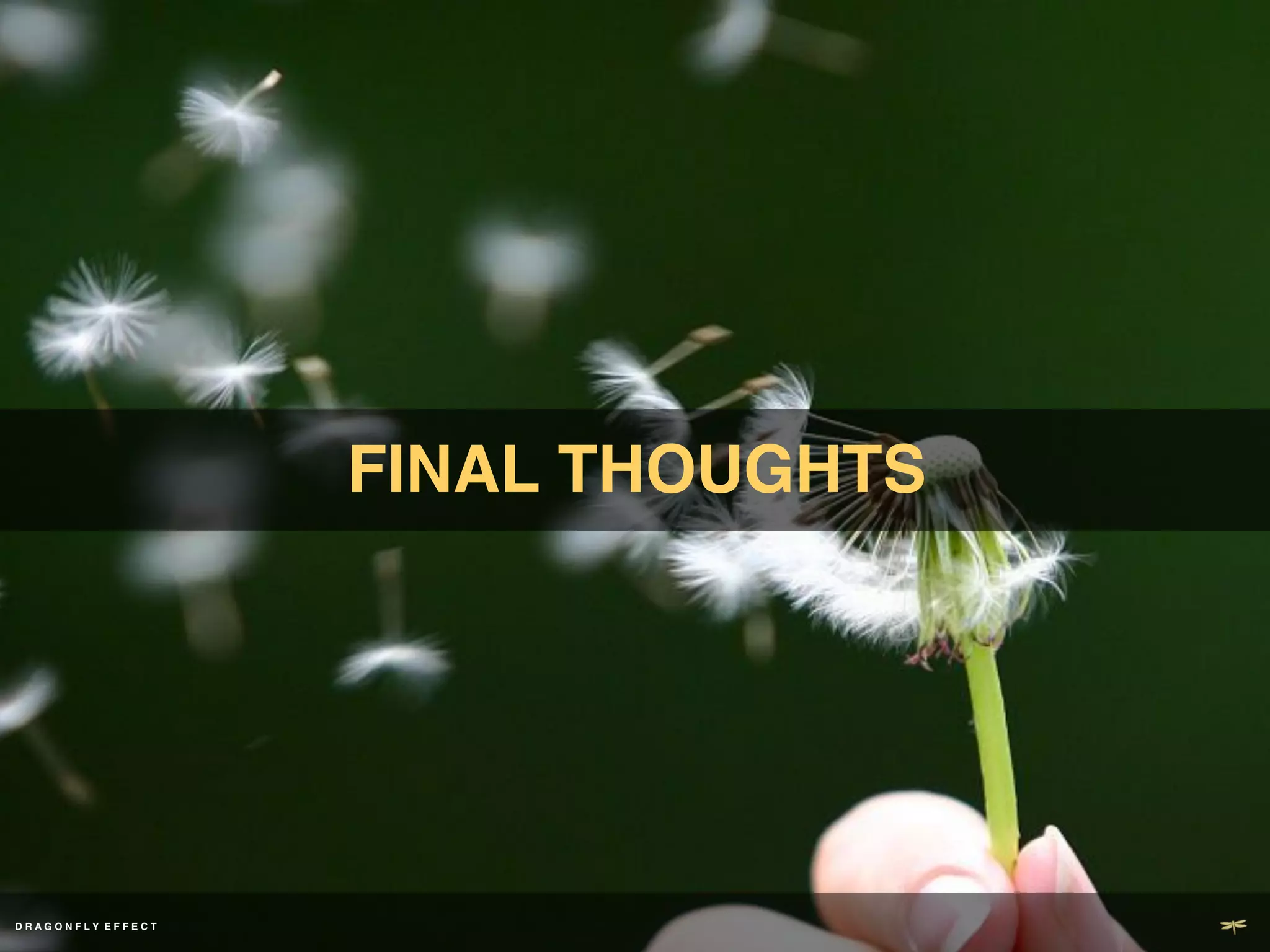 FINAL THOUGHTS!




DD R A G O N F L Y E F F E C T ! !
 RAGONFLY EF ECT
 