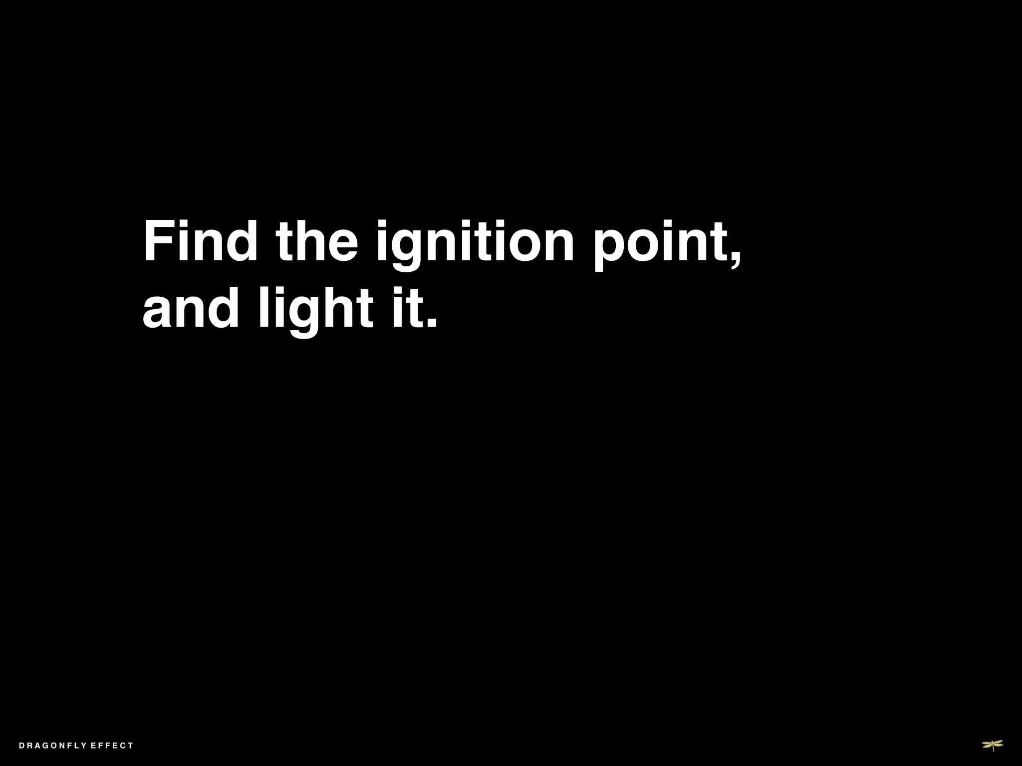 Find the ignition point,
                   and light it. !




DRAGONFLY EFFECT   !
 