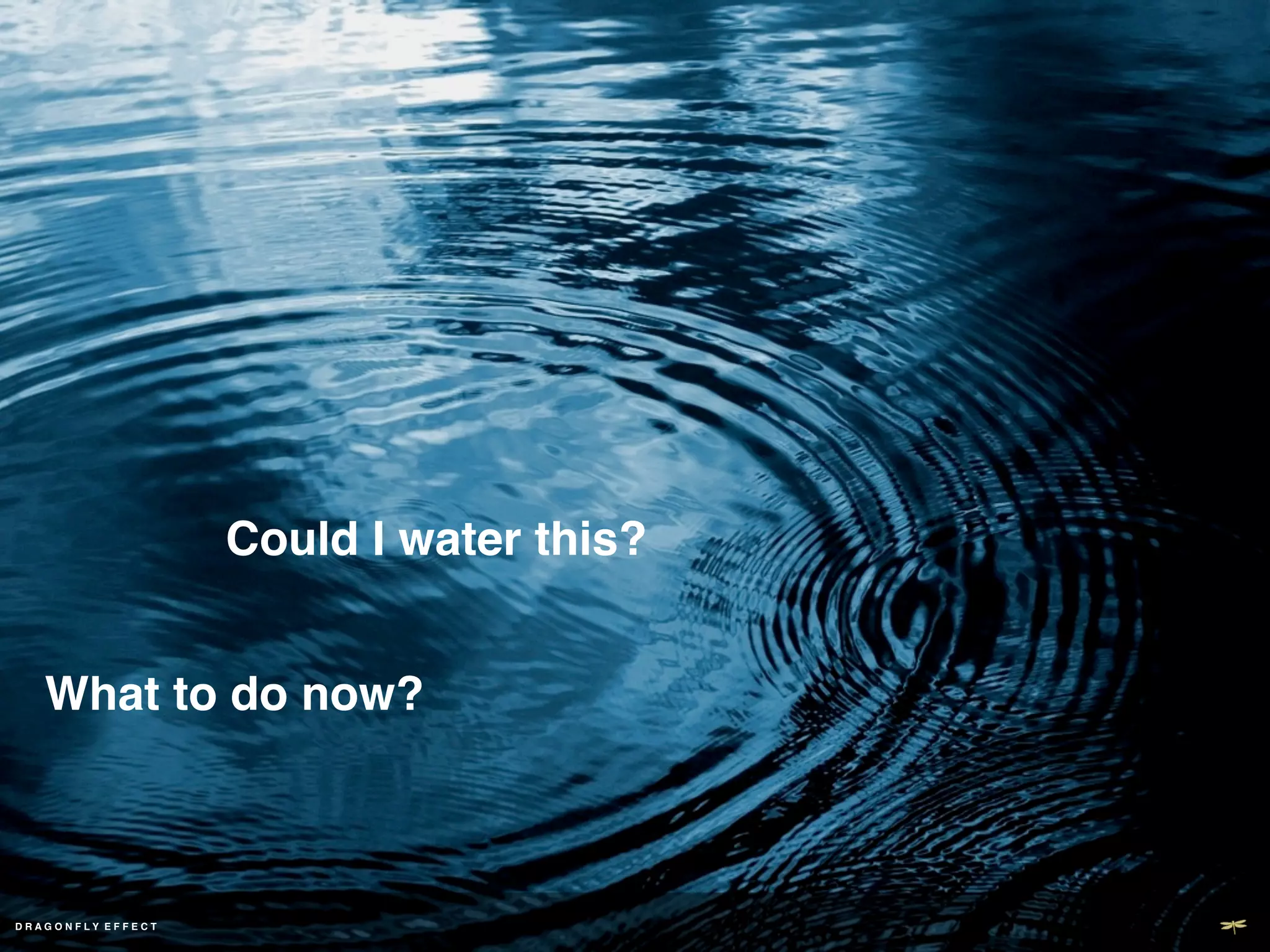 Could I water this?!


      What to do now?!



DD R A G O N F L Y E F F E C T ! !
 RAGONFLY EF ECT
 