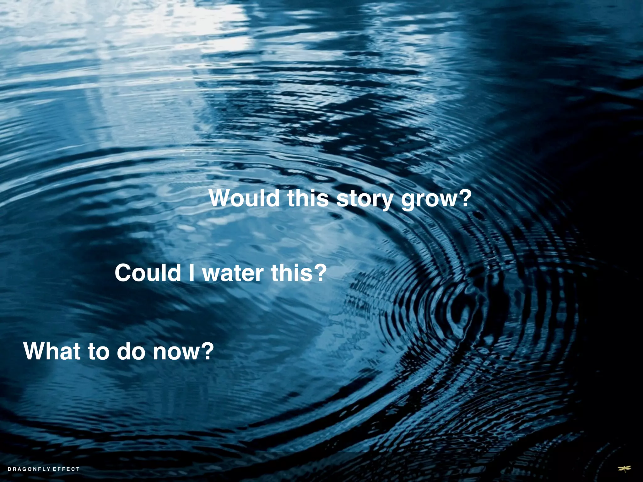 Would this story grow?!


                                     Could I water this?!


      What to do now?!



DD R A G O N F L Y E F F E C T ! !
 RAGONFLY EF ECT
 