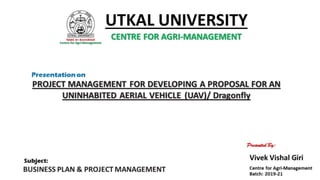 Project Management Presentation for MBA on DRAGONFLY: Developing a proposal for an Uninhabited Aerial Vehicle (UAV) 