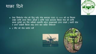 थािा ददने
 टेका ससभेन्टेड ऩोर को ददनु ऩछन| ऩोर फनाउदा एउटा १२ mm को यड बफचभा
याखेय भाधथ सम्भ सरएय आउने य भाधथ प्रस फनाउने| बफरुवा ऩोर को भाधथ
सम्भ ऩुगेसी चाय ततय पक
े को यडभाधथ भोटय साइकरको टाएय याख्ने | मसयी ऩोर
य टाएय याखेसी बफरुवा राइ टाएय फाट फादहय तनकाल्ने
 ८ पीट को ऩोर प्रमोग गने
 