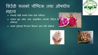 ससउॉडी परको ऩौजष्टक तथा औषधीम
भहत्व
 मसराई सोझै परको रुऩभा खान सककन्छ
 मसफाट जुस, सफनत, जाभ, आइसकिभ, क्मान्डी, ऩेजस्िज फनाउन
सककन्छ|
 मसको गुददराई पऩज्जभा सभसाएय खान ऩतन सककन्छ
 