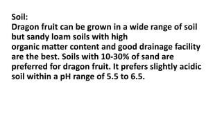 Soil:
Dragon fruit can be grown in a wide range of soil
but sandy loam soils with high
organic matter content and good drainage facility
are the best. Soils with 10-30% of sand are
preferred for dragon fruit. It prefers slightly acidic
soil within a pH range of 5.5 to 6.5.
 