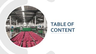 Project Report on Dragon Fruit Processing Plant | PPTX