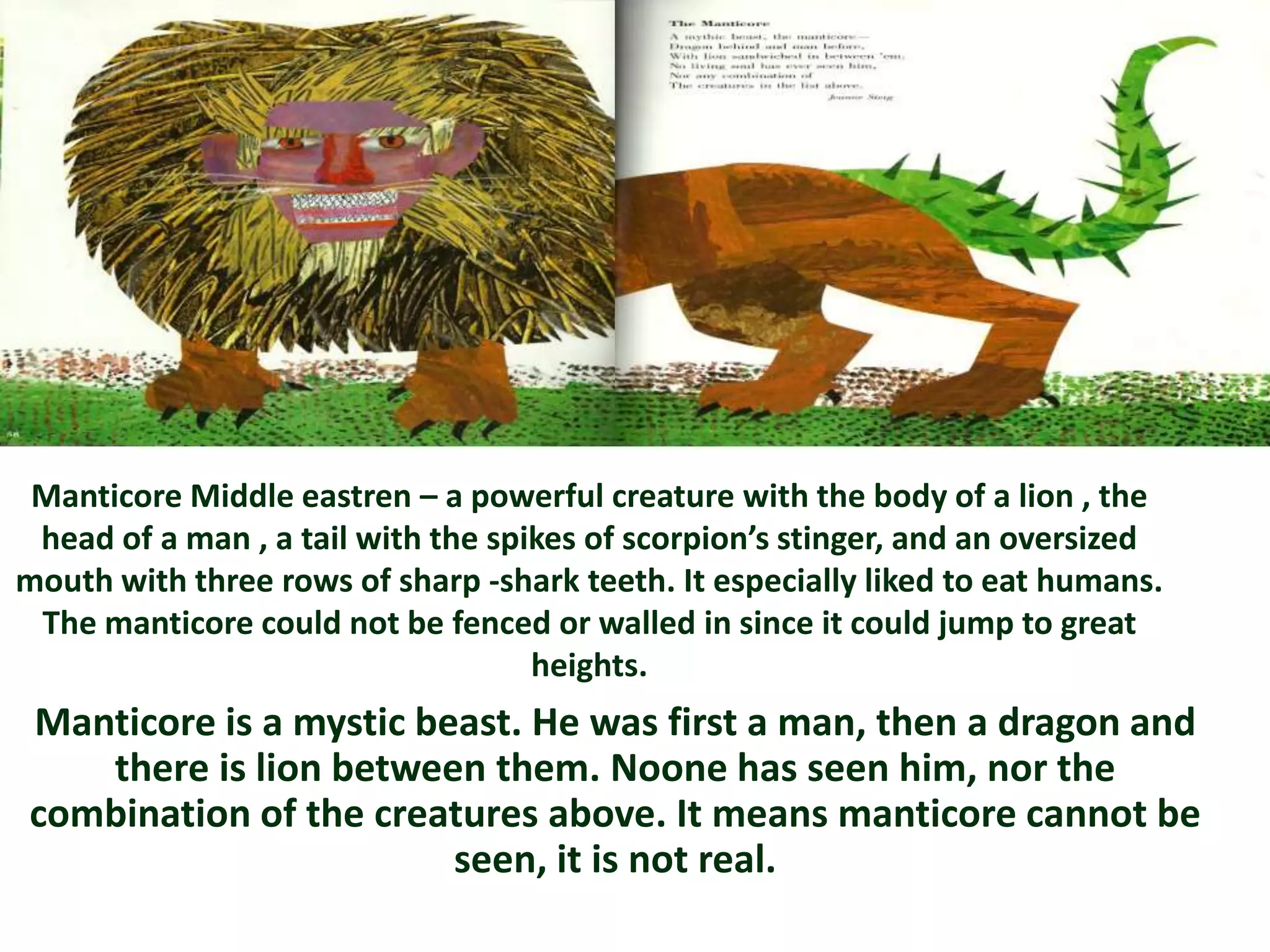 Manticore Middle eastren – a powerful creature with the body of a lion , the
 head of a man , a tail with the spikes of scorpion’s stinger, and an oversized
mouth with three rows of sharp -shark teeth. It especially liked to eat humans.
 The manticore could not be fenced or walled in since it could jump to great
                                    heights.
Manticore is a mystic beast. He was first a man, then a dragon and
   there is lion between them. Noone has seen him, nor the
combination of the creatures above. It means manticore cannot be
                        seen, it is not real.
 