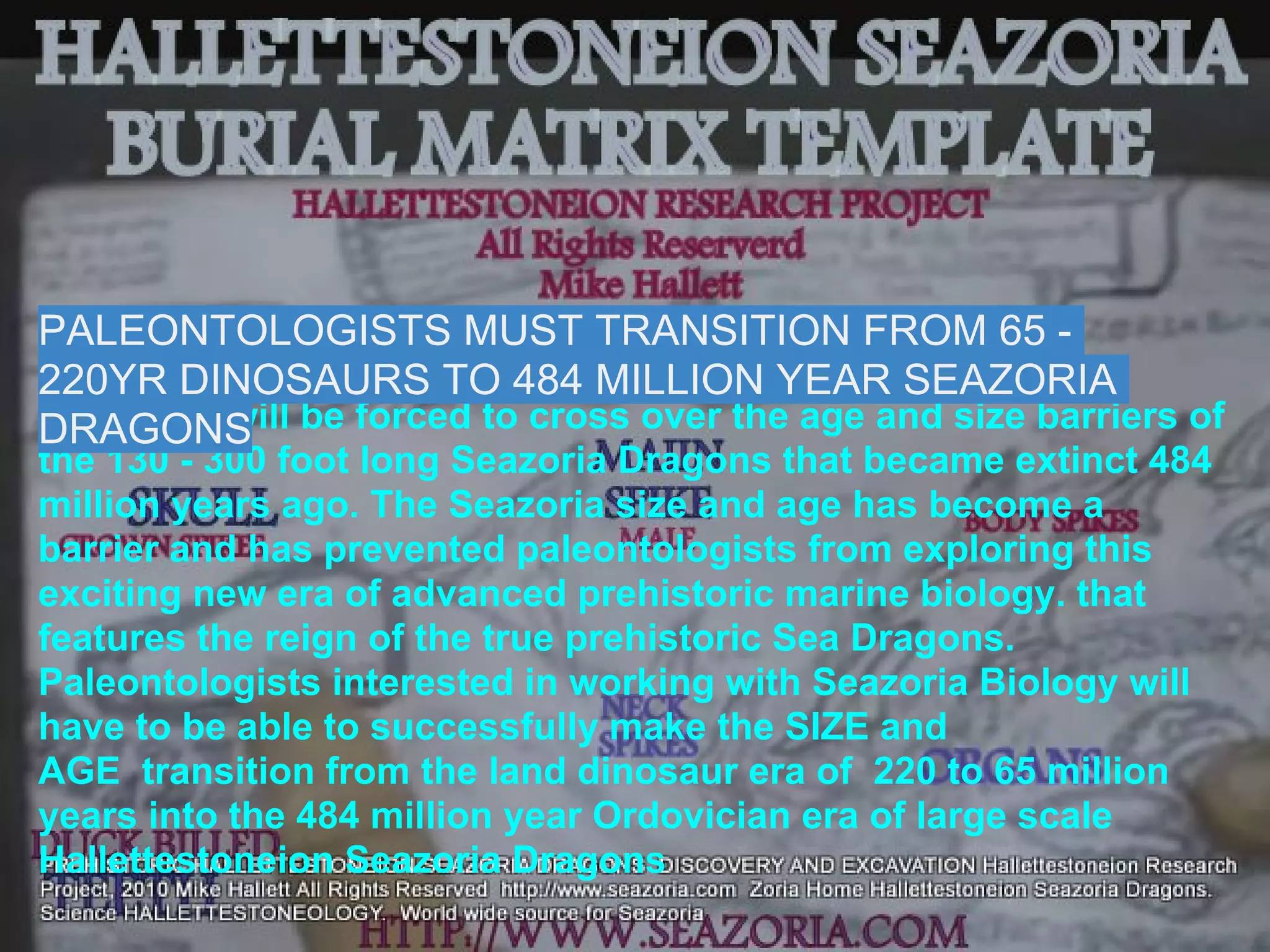 PALEONTOLOGISTS MUST TRANSITION FROM 65 -
220YR DINOSAURS TO 484 MILLION YEAR SEAZORIA
Scientists will be forced to cross over the age and size barriers of
DRAGONS
the 130 - 300 foot long Seazoria Dragons that became extinct 484
million years ago. The Seazoria size and age has become a
barrier and has prevented paleontologists from exploring this
exciting new era of advanced prehistoric marine biology. that
features the reign of the true prehistoric Sea Dragons.
Paleontologists interested in working with Seazoria Biology will
have to be able to successfully make the SIZE and
AGE transition from the land dinosaur era of 220 to 65 million
years into the 484 million year Ordovician era of large scale
Hallettestoneion Seazoria Dragons
 